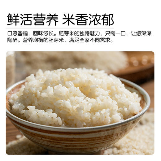 *物元农场双有机胚芽米新米东北粳米熬米油米汤杂粮粥饭胚芽粗粮|新米|全胚芽粳米 商品图1