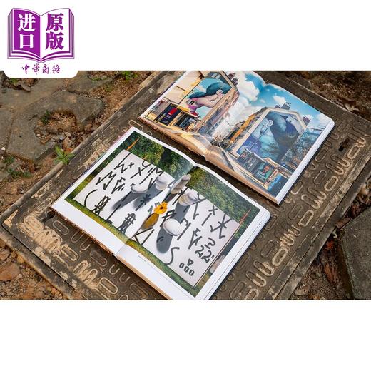 【中商原版】Street Beauty 进口艺术 街头之美 商品图1
