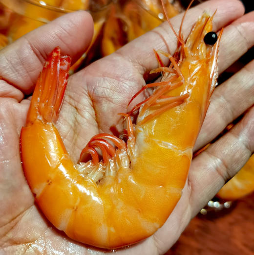 【下单后48小时发货】印尼生态 熟冻虾500g*2盒 商品图6