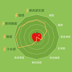 乐淇（ROCKIT）新西兰火箭筒苹果 5粒大筒装 单筒350g起 新鲜水果