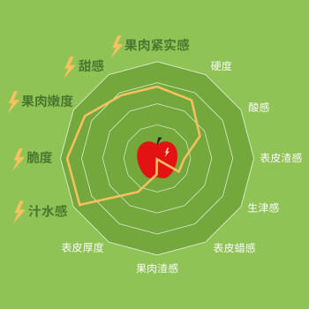 乐淇（ROCKIT）新西兰火箭筒苹果 5粒大筒装 单筒350g起 新鲜水果 商品图0