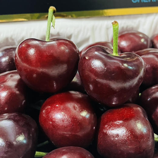 大连樱桃  5J 精品大连樱桃礼盒 一件约2斤【包装随机发】 商品图1