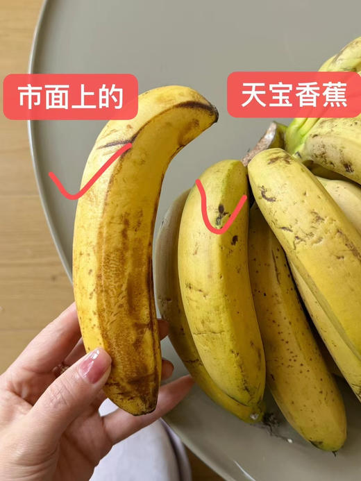 【天宝香蕉】正宗现割零添加新鲜当季水果非米蕉芭蕉红蕉 商品图3
