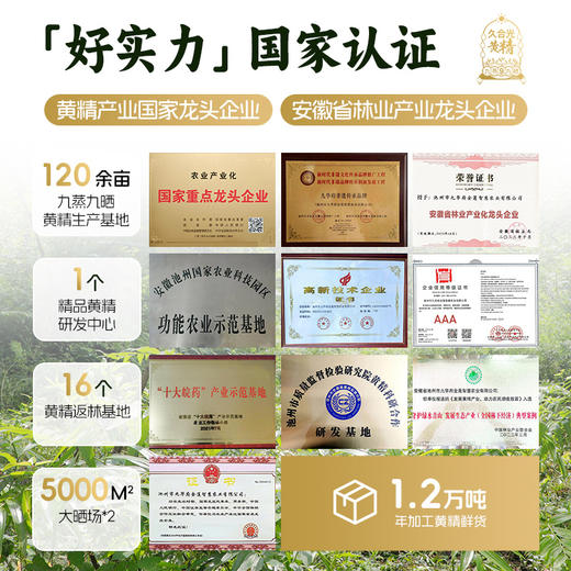 九蒸九晒黄精露 仙人余粮 三大活性纯植物 喝出好气色 商品图2