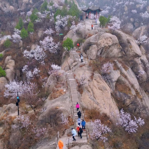 清明1天【凤凰岭白虎涧 68元】北京版桃花岛の凤凰岭-白虎涧后花园8-10公里穿越<初级> 商品图0