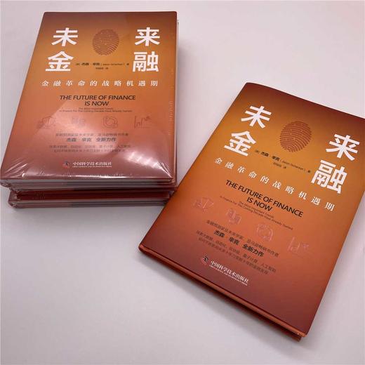 未来金融：金融革命的战略机遇期（精装典藏版） 商品图2