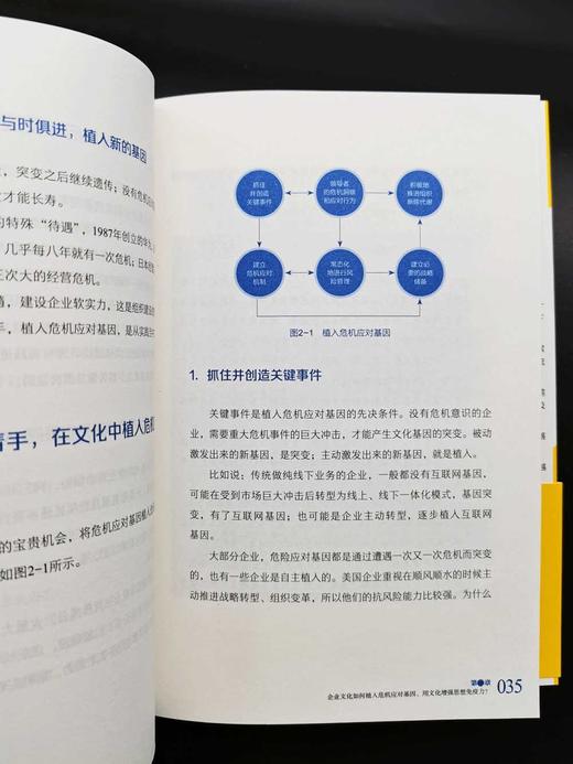 危机应激：升级企业免疫力 商品图3