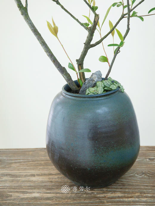 黑盆造型春花 商品图2