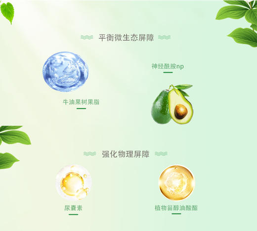 八九点钟的太阳修护乳霜50g 商品图5