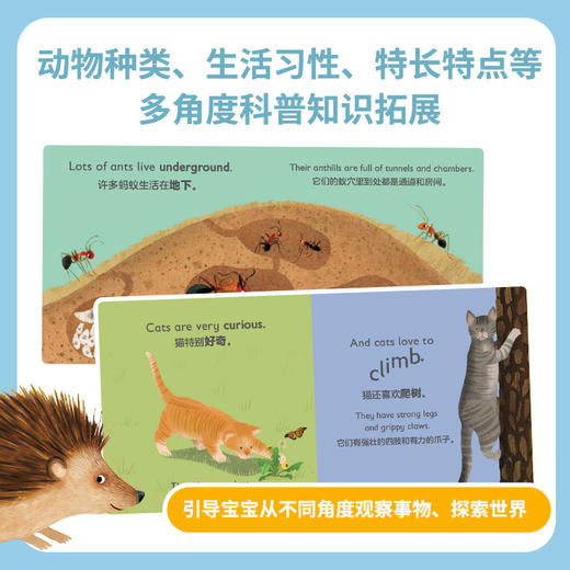 DK幼儿动物小百科双语版礼盒装（全26册） 商品图2