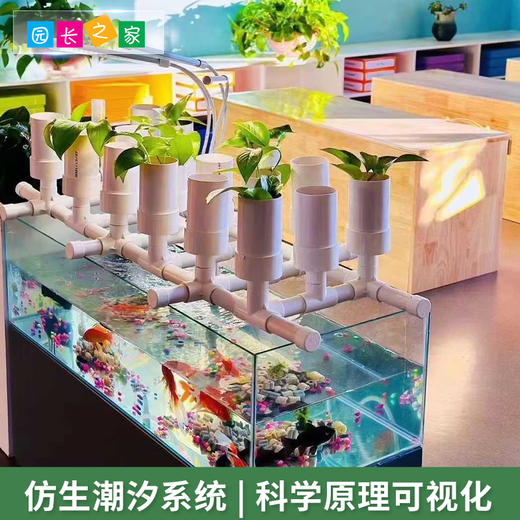 室内-鱼菜共生生态循环设备 商品图1