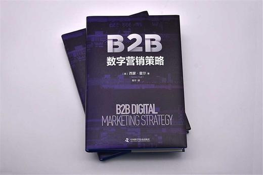 B2B数字营销策略：全链条解析数字营销的实操指南（精装典藏版） 商品图1