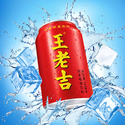 王老吉 310g/罐 商品图4