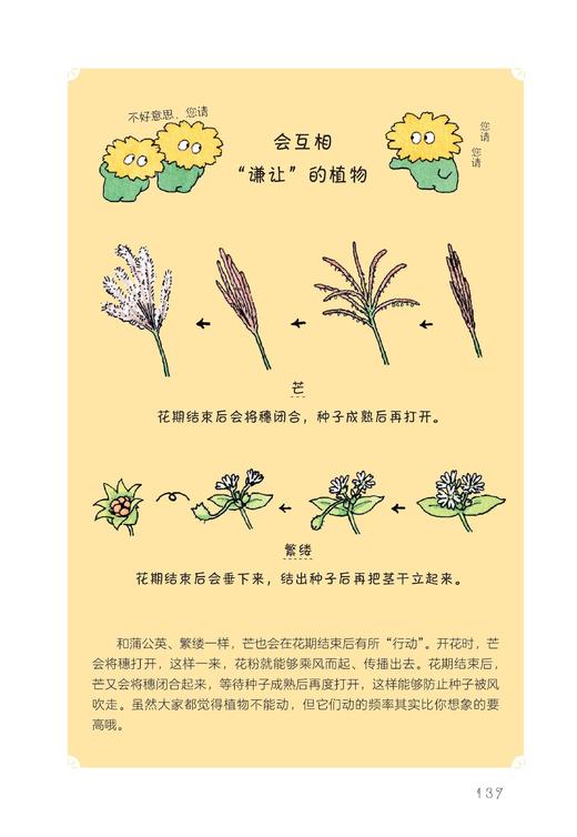 《花草也有小秘密》 商品图9