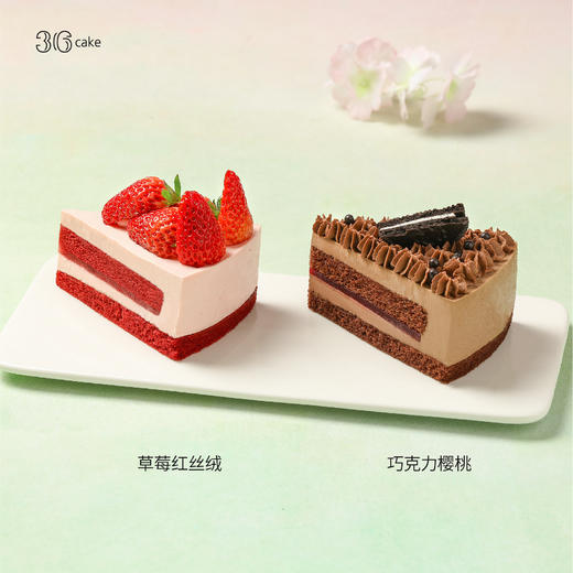 四季圆舞曲，可选 8英寸 商品图4