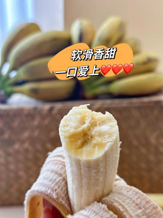 【天宝香蕉】正宗现割零添加新鲜当季水果非米蕉芭蕉红蕉 商品图6