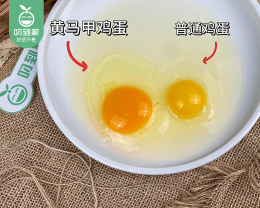 【预售-12月29日配送】黄马甲可生食富硒蛋/1份（30枚*2托，共3kg±20g）生产日期：12月25日左右 商品图4