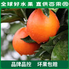 PAGODA百果园 万州玫瑰香橙（大）10斤礼盒装 商品缩略图4