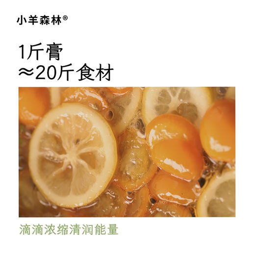「金桔柠檬梨膏」宝贝的舒缓方 20倍浓缩  让气机更通透 商品图3