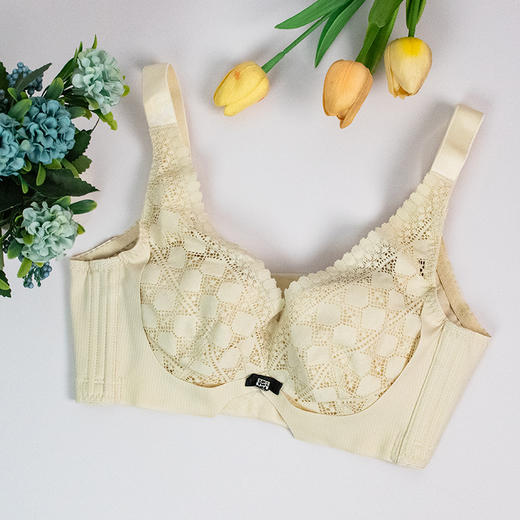 【特价39元1件】聚拢夹棉杯调整型文胸-2251105 商品图1