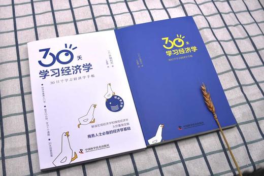 30天学习经济学 商品图3