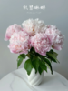 精品花材凯瑟琳娜芍药花5支 商品缩略图0