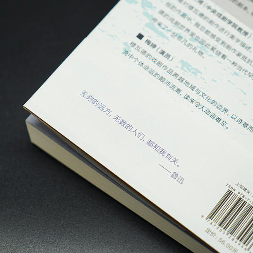 海边：瓦日迪·穆瓦德剧作集 （守望者·戏剧） 商品图7