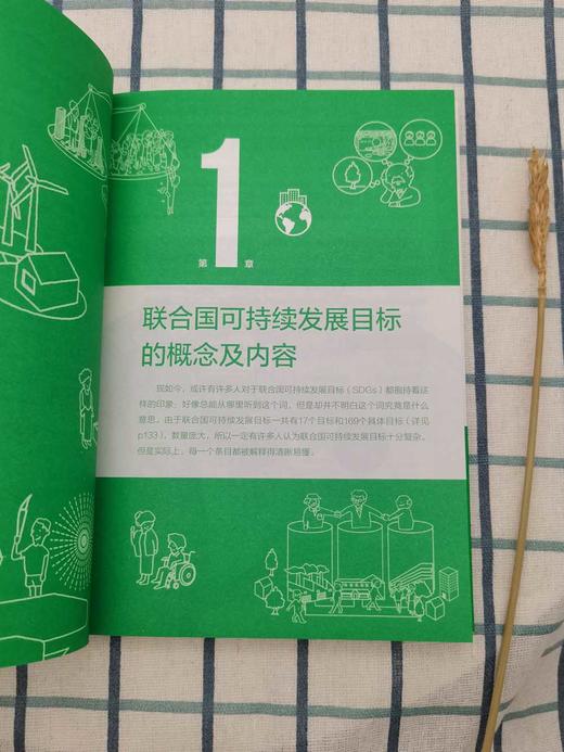 零基础 可持续发展笔记 商品图3