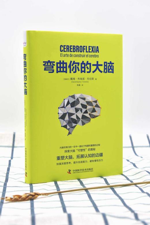 弯曲你的大脑 商品图3