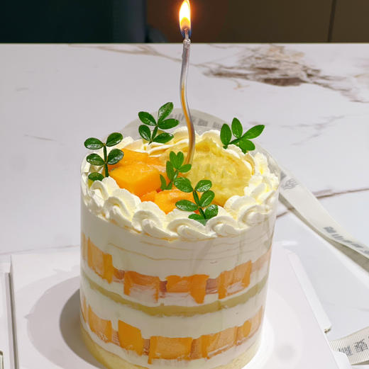 4寸榴芒千层 商品图0