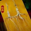 热卖【林下山参虫草礼盒装】长白山人参林下山参虫草礼盒装深山密林生长人参15g虫草2g 商品缩略图1