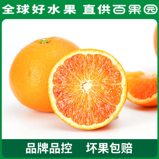 PAGODA百果园 万州玫瑰香橙（大）10斤礼盒装 商品图2