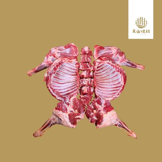 天山沐秋·天山羔羊礼盒 多规格可选 天山牧场直达 肉质细腻 商品图2