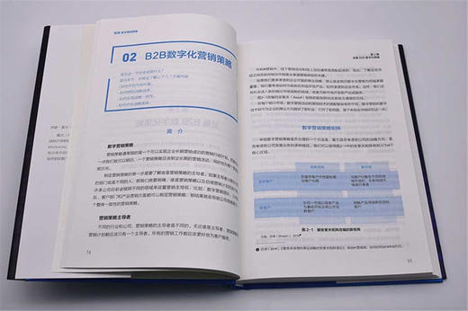 B2B数字营销策略：全链条解析数字营销的实操指南（精装典藏版） 商品图6