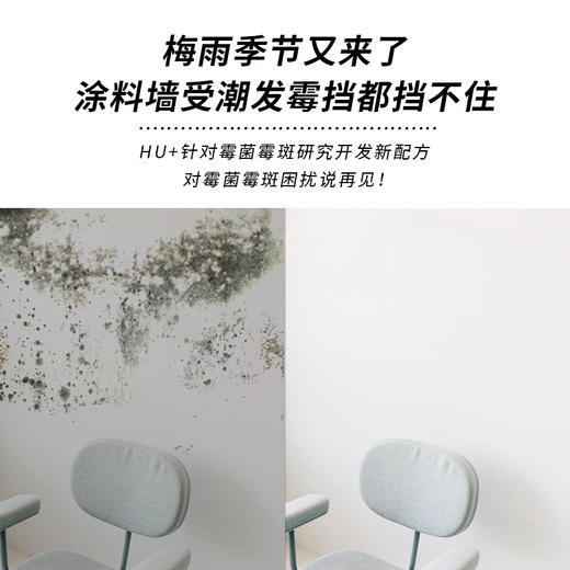 【告别霉污烦恼】HU+墙体除霉喷雾 一喷除霉 除霉率99.99% 墙面瓷砖多场景可用 500ml/瓶 商品图2