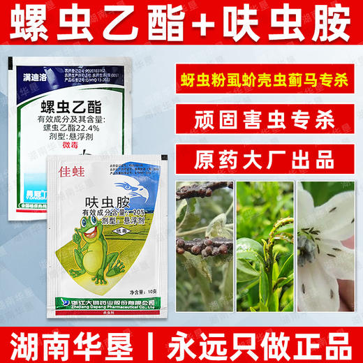 螺虫乙酯呋虫胺套装桃树柑橘介壳虫蚜虫蓟马专用杀虫剂正品农药 商品图3