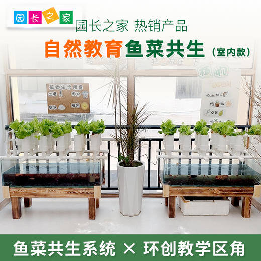 室内-鱼菜共生生态循环设备 商品图0