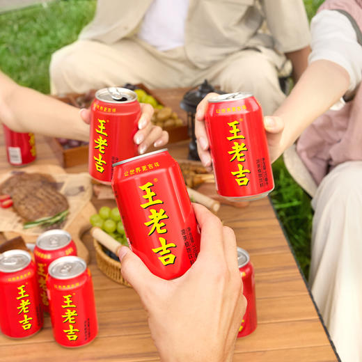 王老吉 310g/罐 商品图5
