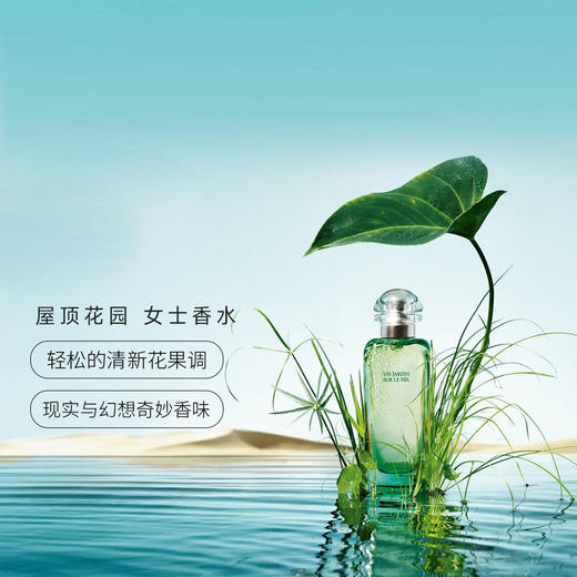 爱马仕尼罗河花园香水两件套  香水100ml+身体乳80ml 情人节礼物/七夕礼物/新年礼物 商品图2