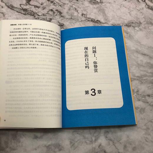 决胜未来：幸福人生终极11问 商品图7