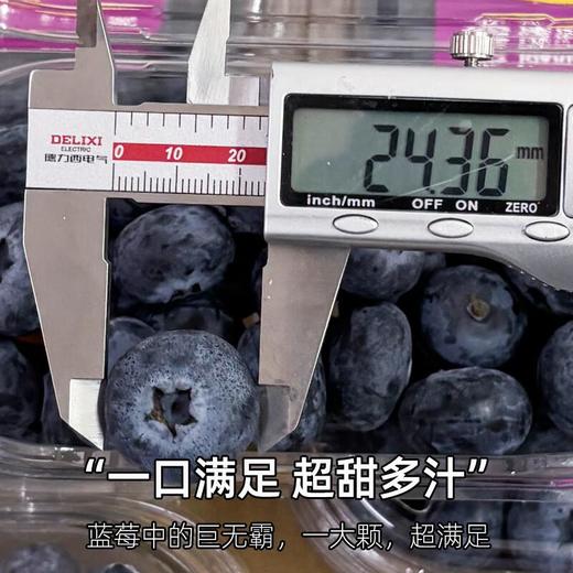 佳沃鲜枝莓24+ 商品图2