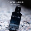 【限时特惠】Dior迪奥旷野男士经典香水系列 淡香水100ml 商品缩略图1