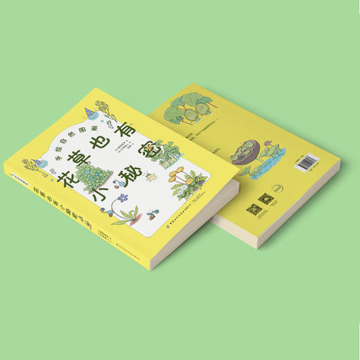 《花草也有小秘密》 商品图11