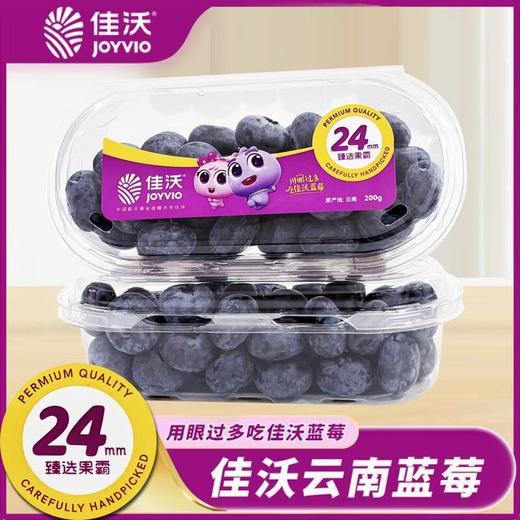 佳沃鲜枝莓24+ 商品图0