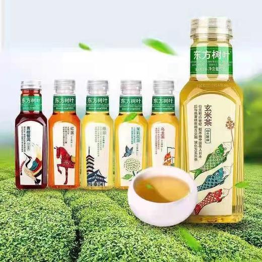 东方树叶 茉莉花茶/红茶/乌龙茶 500ml/瓶 商品图2