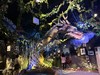 度假太阳系深圳门票 商品缩略图3