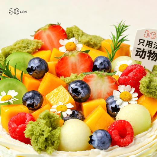 春野-伯牙绝弦  | 36 CAKE 商品图3