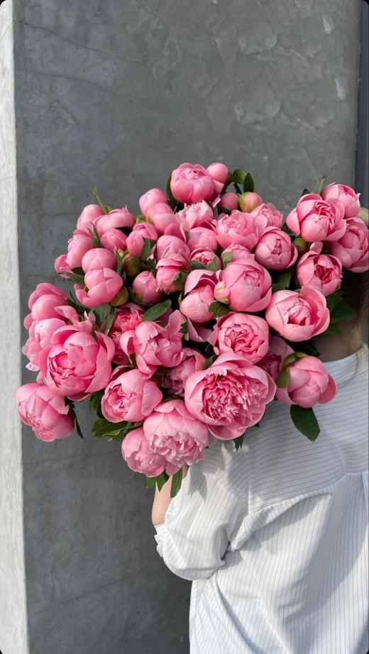 【预售！4.20起陆续发货】蚀刻鲑鱼芍药【你值得我向所有人炫耀，我为爱你而倍感骄傲】简小姐精选 昂贵鲑鱼色芍药 蚀刻鲑鱼 2束包邮 顺丰空运直发 商品图1