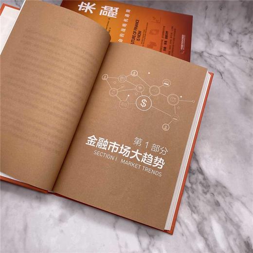 未来金融：金融革命的战略机遇期（精装典藏版） 商品图3