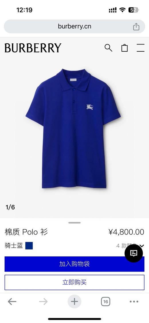 BUR新款战马徽标刺绣翻领Polo衫  经典合身版型 商品图5